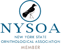 NYSOA (New York State Ornithological Association) Member Club