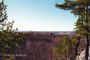 A Great Birding Spot in Columbia County, New York